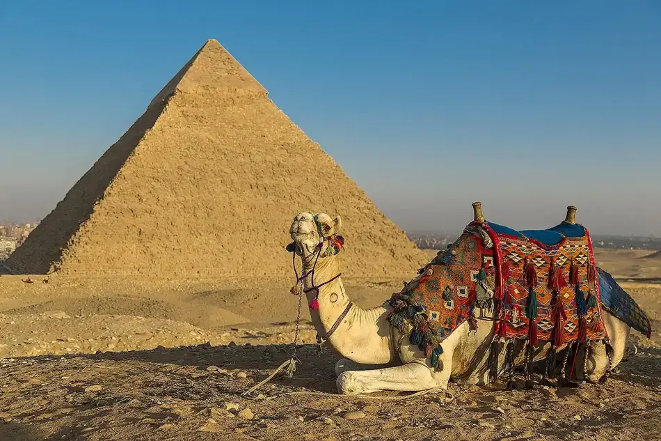 The Giza pyramid complex